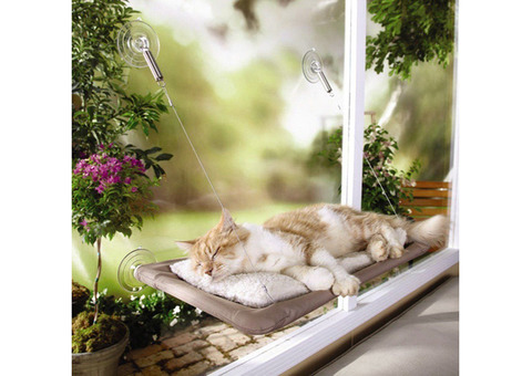 Window Bed Pet